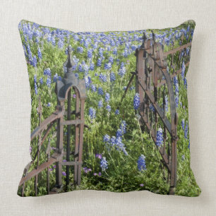 Bluebonnets and phlox surrounding cemetery gate cushion