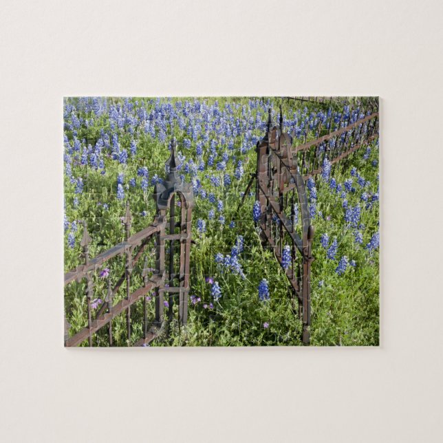 Bluebonnets and phlox surrounding cemetery gate jigsaw puzzle (Horizontal)