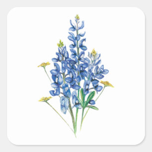 Bluebonnets and Wildflowers Square Sticker