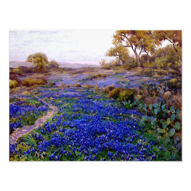 Bluebonnets at Twilight, North of San Antonio Photo Print (Front)