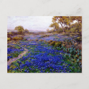 Bluebonnets at Twilight, North of San Antonio Postcard