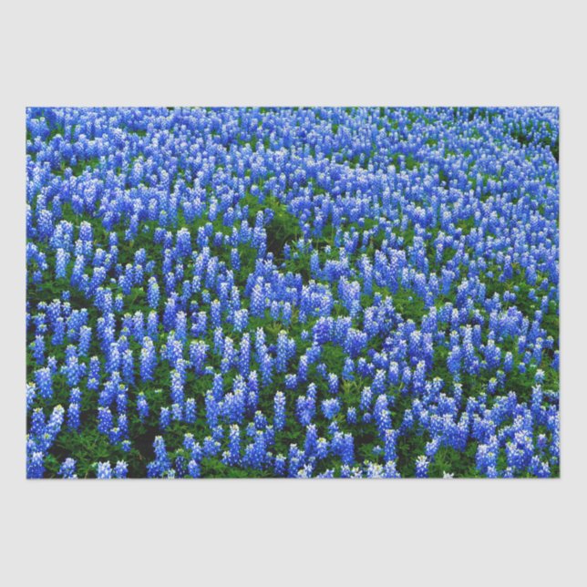 Bluebonnets Blue Floral Texas Texan Elegant Tissue Tissue Paper (Front)