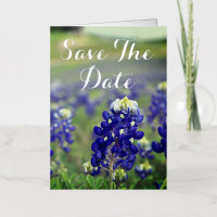 Bluebonnets Blue Flowers Texas Floral Wedding