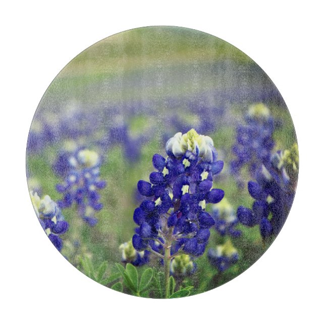Bluebonnets Blue Flowers Texas Texan Floral Cutting Board (Front)