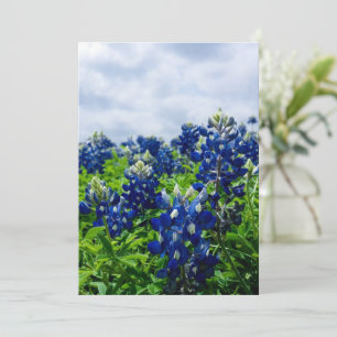 Bluebonnets Blue Flowers Texas Texan Floral Holiday Card