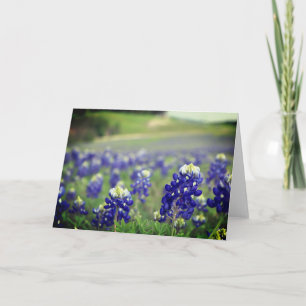 Bluebonnets Blue Flowers Texas Texan Floral Thank You Card