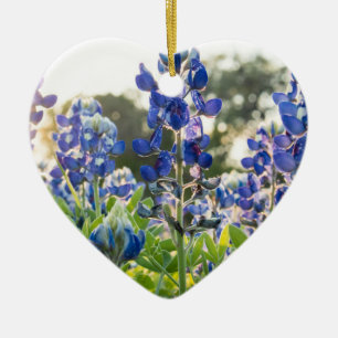 Bluebonnets Blue Flowers Texas Texan Lupine Ceramic Tree Decoration