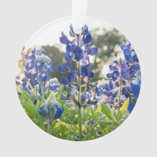 Bluebonnets Blue Flowers Texas Texan Lupine Ornament