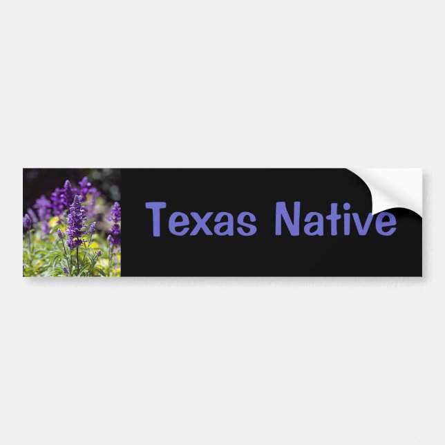 Bluebonnets Bumper Sticker (Front)