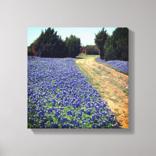 Bluebonnets Dirt Road Print