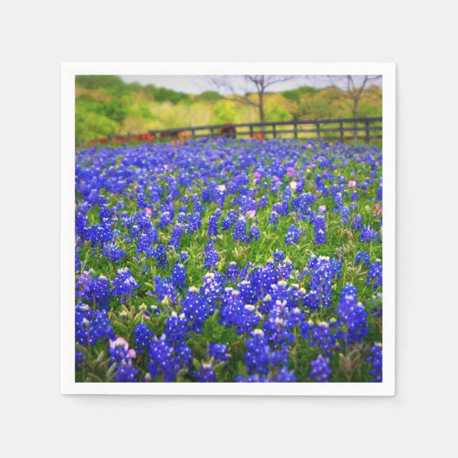 Bluebonnets in Texas Napkin (Front)