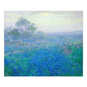 Bluebonnets near San Antonio, Texas by Onderdonk Photo Print