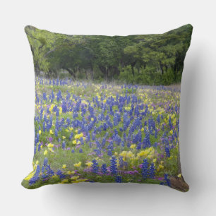Bluebonnets, primrose, and phlox cushion