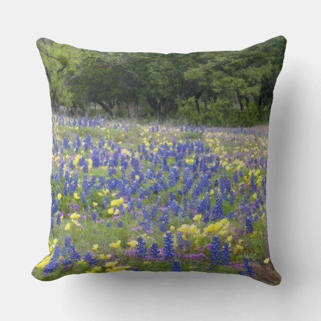 Bluebonnets, primrose, and phlox cushion (Front)