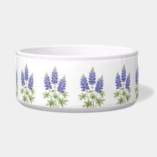 Bluebonnets Texas Lupin Flowers Pet