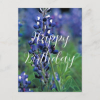 Bluebonnets Texas State Flower Blue Birthday