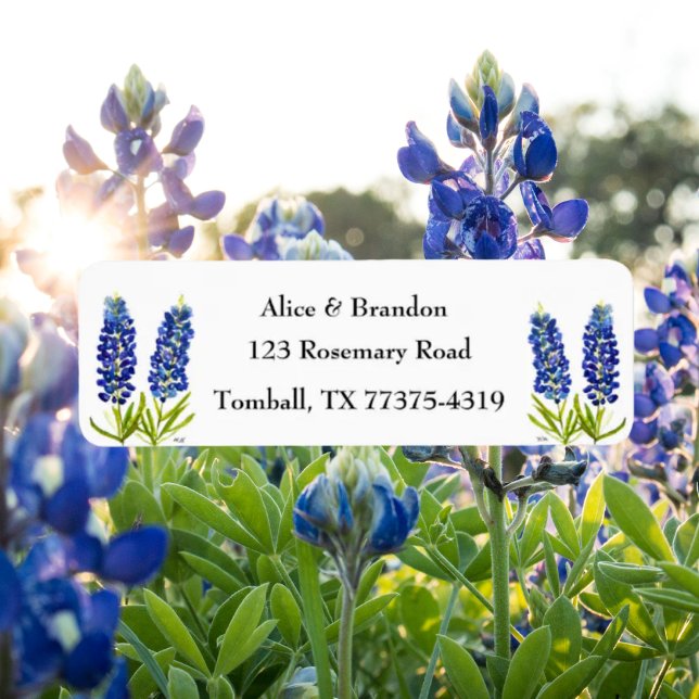 Bluebonnets Texas State Flowers Lupine Watercolor (Creator Uploaded)