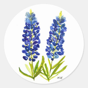 Bluebonnets Texas State Flowers Lupine Watercolor Classic Round Sticker
