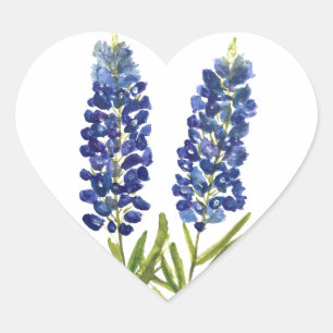 Bluebonnets Texas State Flowers Lupine Watercolor Heart Sticker