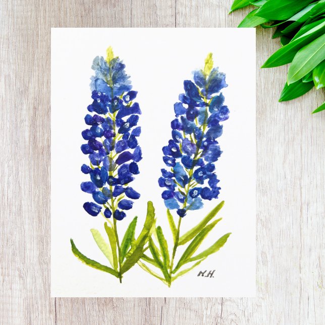 Bluebonnets Texas State Flowers Lupine Watercolor  Postcard (Creator Uploaded)