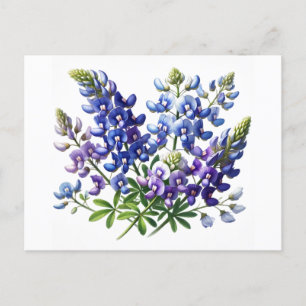 Bluebonnets Texas State Flowers Lupine Watercolor Postcard