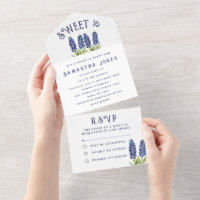 Bluebonnets Texas Wildflowers Sweet 16 Sixteen