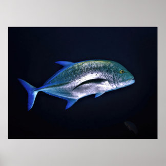 Bluefin Trevally Poster