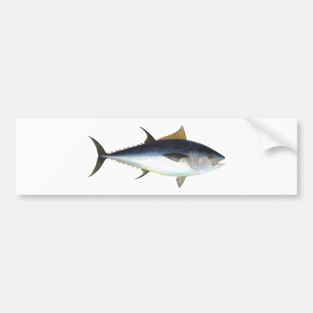 Bluefin Tuna Bumper Sticker (Front)