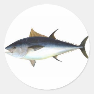 Bluefin Tuna Classic Round Sticker