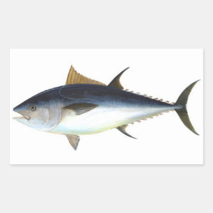 Bluefin Tuna illustration Rectangular Sticker