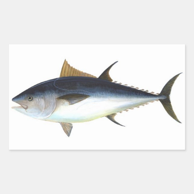 Bluefin Tuna illustration Rectangular Sticker (Front)