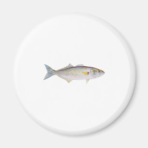 Bluefish Magnet