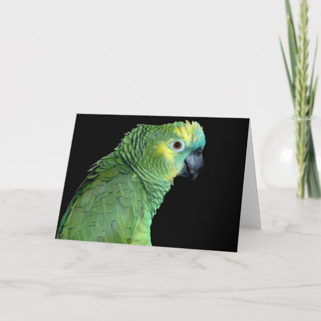 Bluefront Amazon Parrot Notecard (Front)