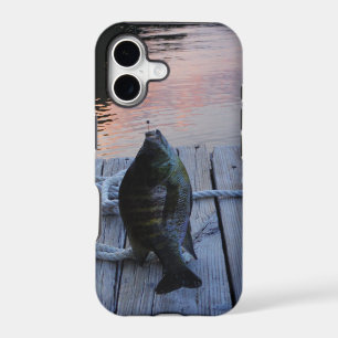 Bluegill at sunset Lake Arrowhead