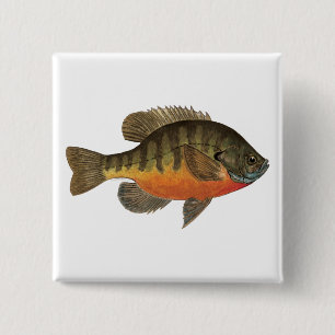 Bluegill Bream 15 Cm Square Badge