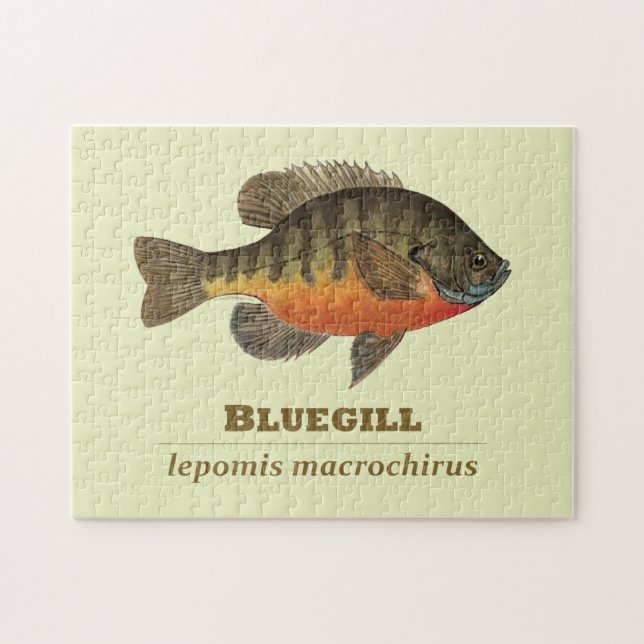 Bluegill Bream Fishing Jigsaw Puzzle (Horizontal)