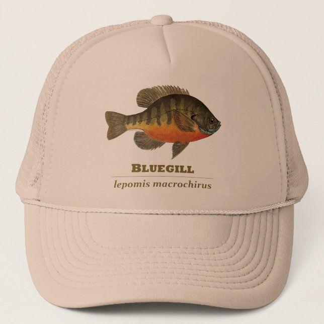 Bluegill Bream Fishing Trucker Hat (Front)
