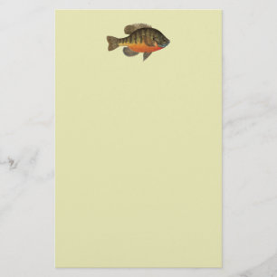 Bluegill Bream Stationery