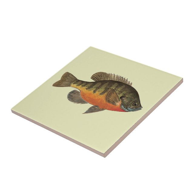 Bluegill Bream Tile (Side)