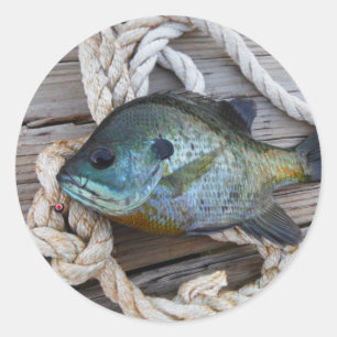 Bluegill fish on dock and rope classic round sticker