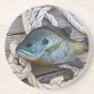 Bluegill fish on dock and rope coaster