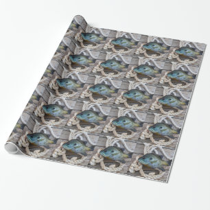 Bluegill fish on dock and rope wrapping paper