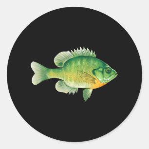 Bluegill Fishing Illustration Bream Freshwater Classic Round Sticker