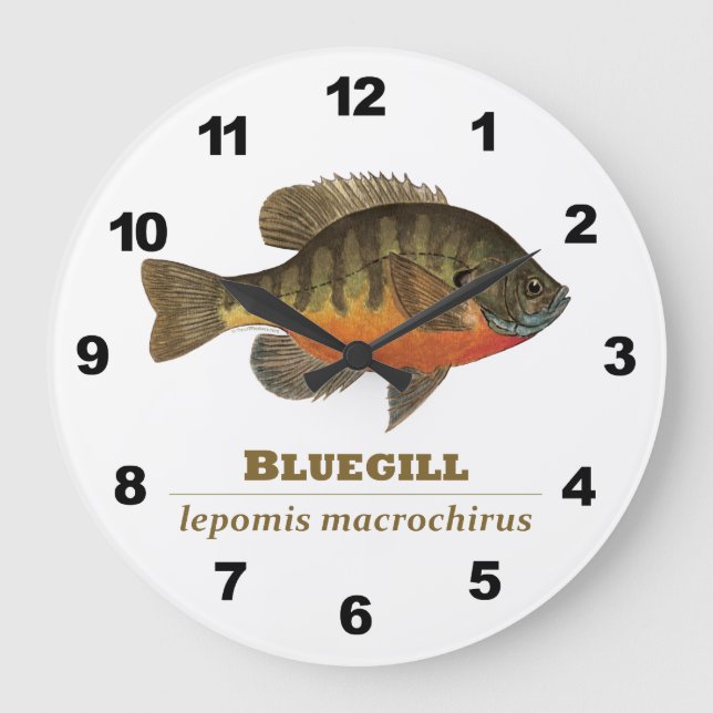Bluegill Fishing Large Clock (Front)