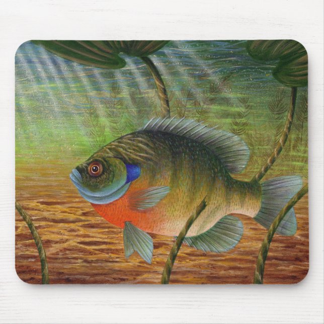 Bluegill Mouse Pad (Front)