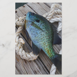 bluegill on dock