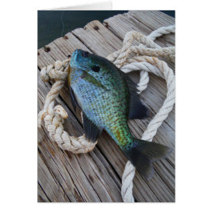 bluegill on dock