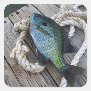 bluegill on dock square sticker