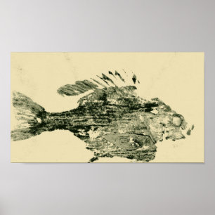 Bluegill Poster