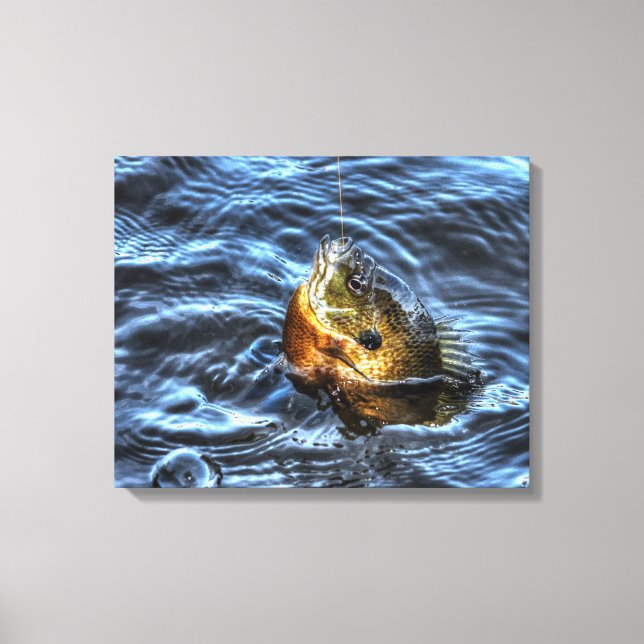 Bluegill Sunfish Fisherman's Outdoor Sports Art Canvas Print (Front)